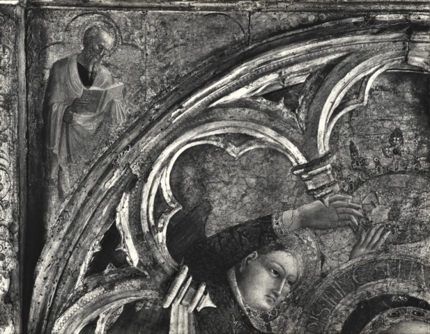 Anonimo — Stefano di Giovanni di Consolo da Cortona (Sassetta) - sec. XV - Pala della Madonna della Neve: Angelo che incorona la Vergine — particolare